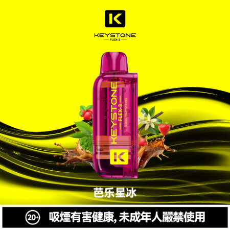 KEYSTONE FLEX-3 鑰石 25000口 專彈專機套裝｜大容量續航・台灣現貨