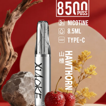 xiaoke 梟客 口紅款 8500口 拋棄式電子煙｜高顏值設計・大容量續航・台灣現貨
